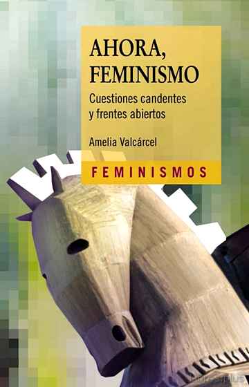 Descargar gratis ebook AHORA, FEMINISMO en epub