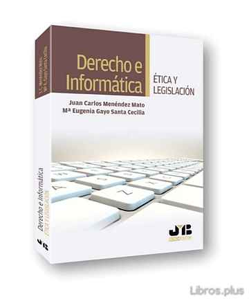Descargar gratis ebook DERECHO E INFORMÁTICA en epub
