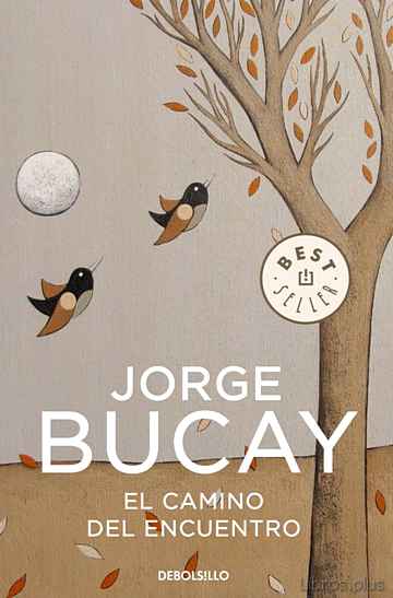 Descargar ebook gratis epub EL CAMINO DEL ENCUENTRO de JORGE BUCAY