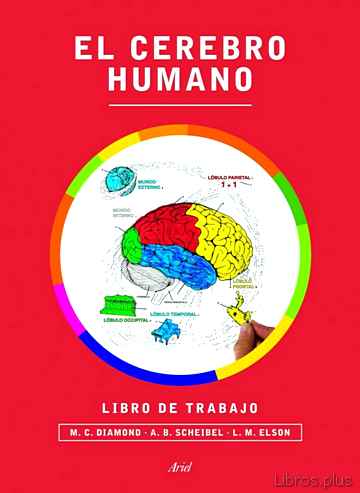 Descargar gratis ebook EL CEREBRO HUMANO: LIBRO DE TRABAJO en epub