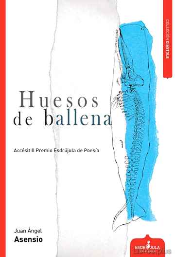 Descargar gratis ebook HUESOS DE BALLENA en epub